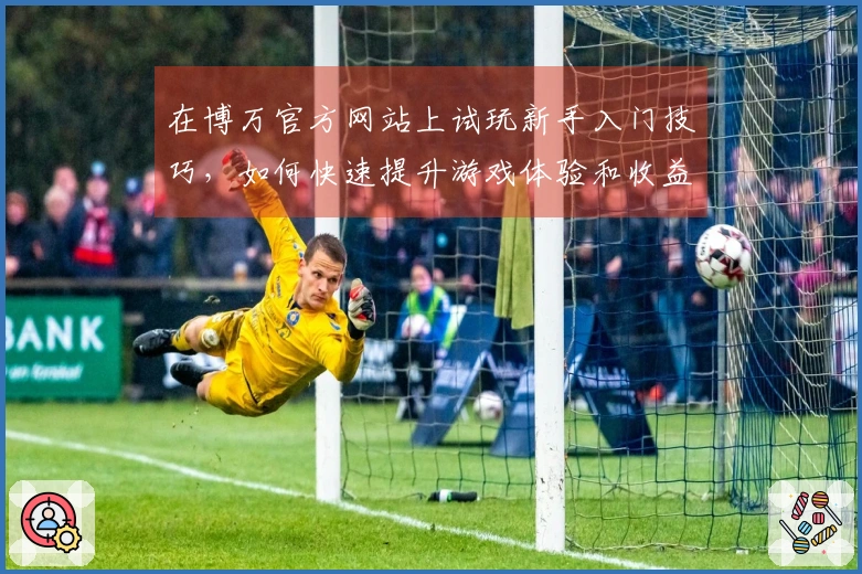 在博万官方网站上试玩新手入门技巧，如何快速提升游戏体验和收益